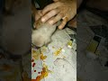 The puppy was lying on the side of the road in a bike accident#shortsvideo#shorts#viral#ytshorts