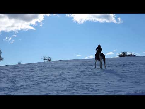 Βόλτα με το άλογο στην Συκαμινέα Ελάσσονας .