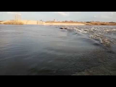 НОВОУЗЕНСК, Саратовская обл.