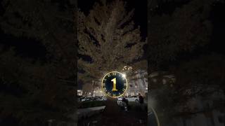 Christmas tree lighting countdown!!! #shorts #Christmas #2024 #light #countdown #shortvideo #short