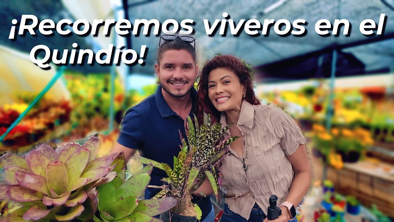 Plantas hermosas, paisajes y gente increíble 🌱🇨🇴