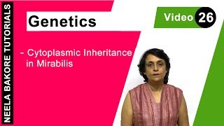 Genetics - Principles of Inheritance & Variations | NEET | Cytoplasmic Inheritance in Mirabilis