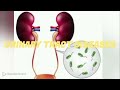 Urinary Tract Diseases Chapter 6 تمريض باطنة و جراحة الباب السادس كامل