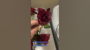 Flower Preservation #dehydration #dehydrating