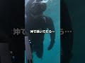 沖で泳いでたら...