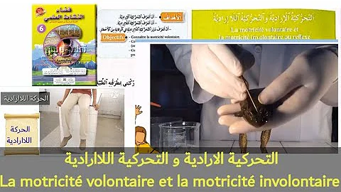 شرح درس التحركية اللا إرادية
