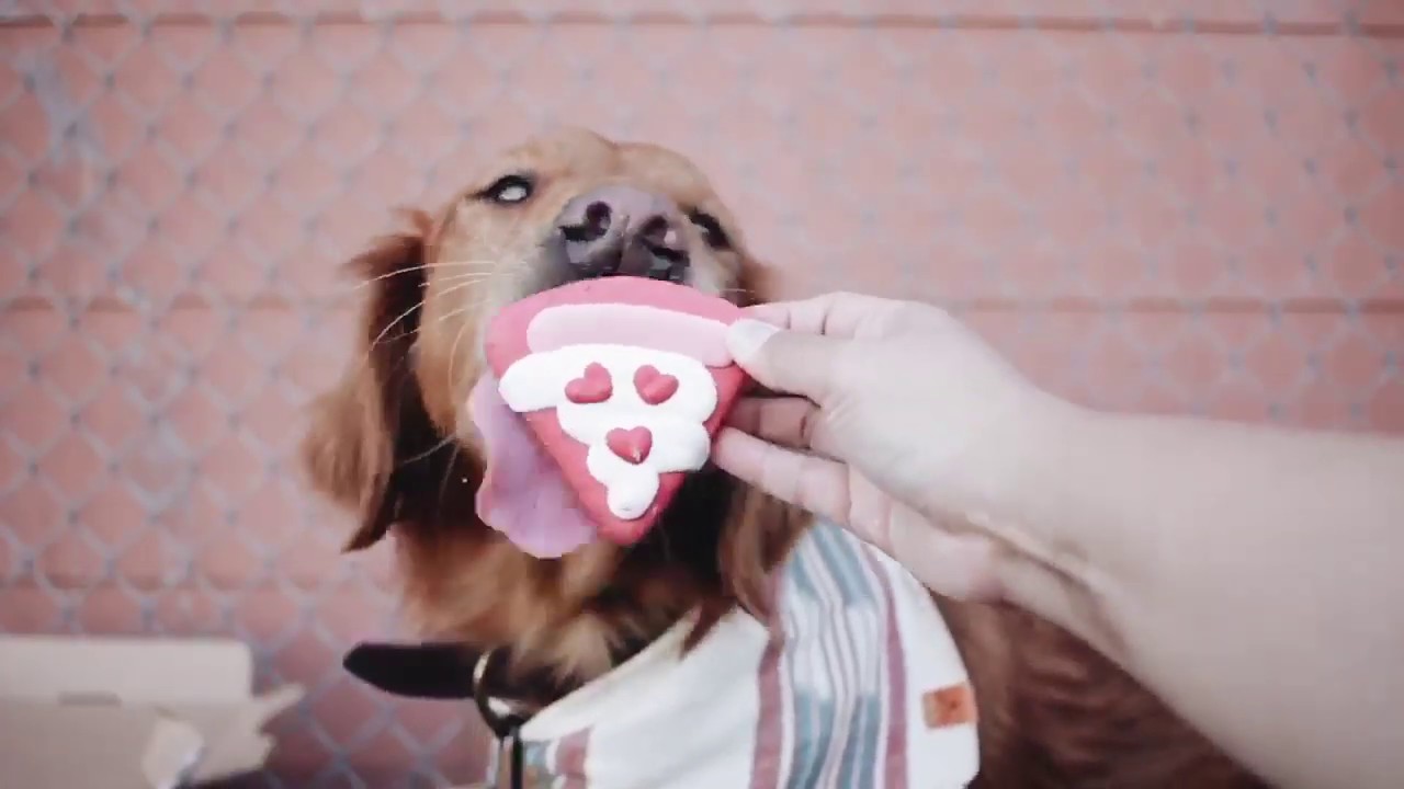 Benji Loves Pizza Too - Wüfers Dog Cookies
