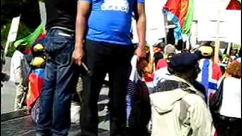 Eritreans in Norway demonstrated against NRK (Norwegian Television Broadcast)