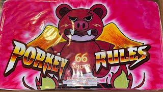 Porky Rules 🐷 66s Firework ( BIG BREAKS )