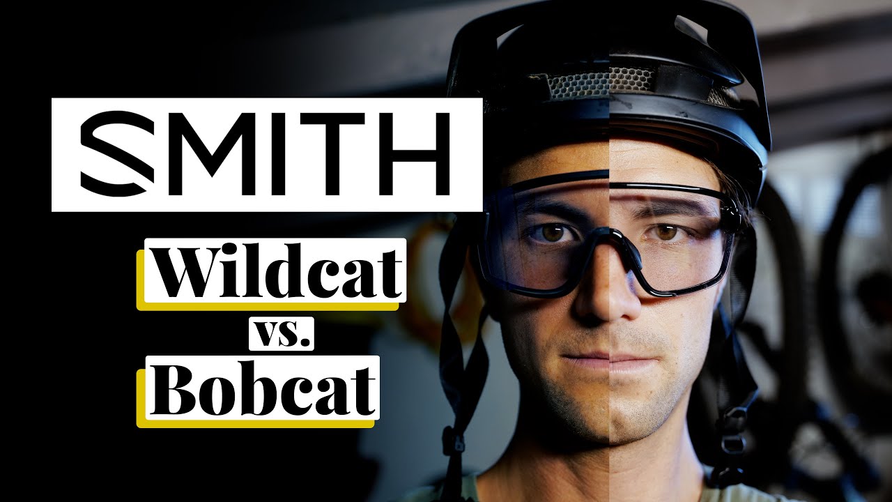 Smith Wildcat vs. Bobcat Sunglasses YouTube