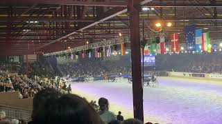 Friese hengstenkeuring Leeuwarden 2023