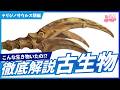 【古生物学】RPNP古生物学ニュース「60分で語る! テリジノサウルス類編」#恐竜 #化石 #解説