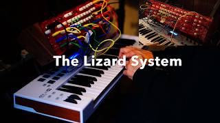 Vinicius Electrik Lizard System: Lizard + MultiWaves (by Fabio Fonseca for Key Magic Inc)