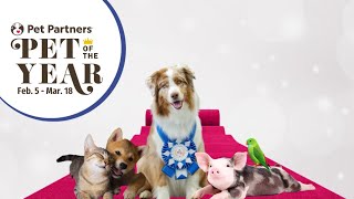 2024 Pet Partners Pet of the Year Celebration Event & Spotlight Awards