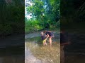 nội xuối ở -chiêm hoá -tuyên quang #youtubeshorts #xuhong #vairalvideo
