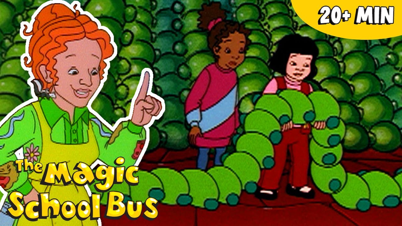 Baking, States of Matter & Molecules | Chemistry for Kids | Science for Kids | The Magic School Bus