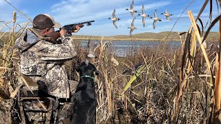 Remote Marsh LOADED With Ducks | Two Man Duck Hunt