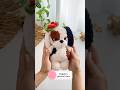 Meet Maggie 🌺 pattern by @fluffy_friends_toys 🌺 #crochet #amigurumi #crochetpatterns