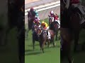 6 | 5 | MONARCH COUNTY | J Moreira #Moreira #Horse #Racing #Sport #Results #賽馬結果 #马會 #油管 #赛马结果