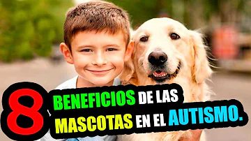 ¿Son buenos los perros para el Asperger?