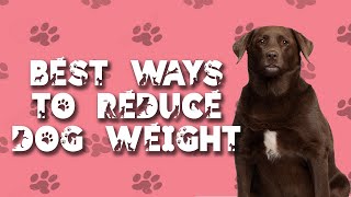 HowTo Reduce Dog Weight NATURALLY! | OBESE DOG WEIGHT LOSS