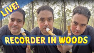 Recorder in the Woods, Live! 🎶