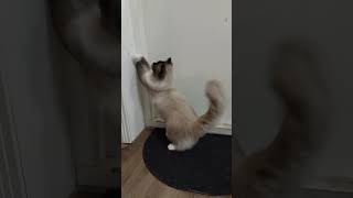 It`s All Fun And Games Until...