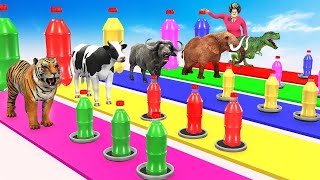 Max Level Long  Legs Cow 🐄 Bear 🧸 Elephant 🐘  Choose the Right Mystery Door Longest Staircase