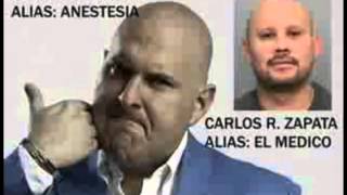 quien es quien en el cartel de los sapos