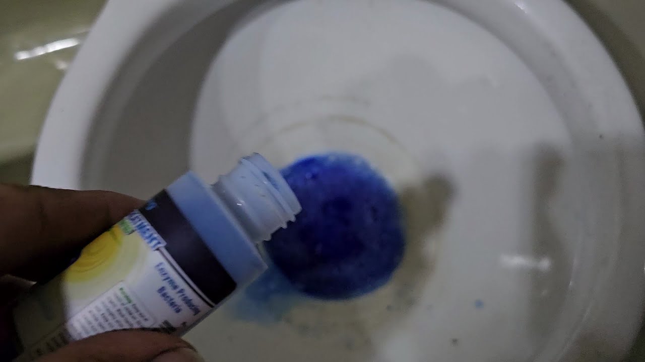 Captain Daggett - Quick Tips - Holding Tank Odor