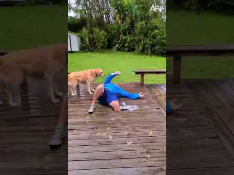 3 Minutes Of Destruction 💥 #afv #fail #funny