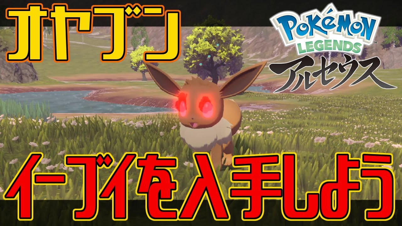 ポケモンアルセウス】オヤブンのイーブイを入手しよう【Pokémon