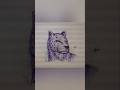 leopard drawing with ball pen ||leopard drawing ||sketch ||how to draw leopard ||#trending #leopard