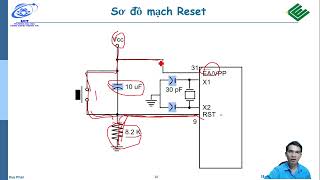 Details TL6 1 6 8051 Pinout and Pin Functions 3 Guide
