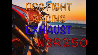 NSR250"DOG FIGHT RACING"Exhaust