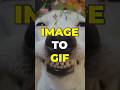 Image To GIF Convert Images To GIFs Easily In Your Web Browser Image To GIF Convert Images To GIFs Easily In Your Web Browser