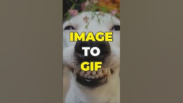 Image to GIF | Convert images to GIFs easily, in your web browser