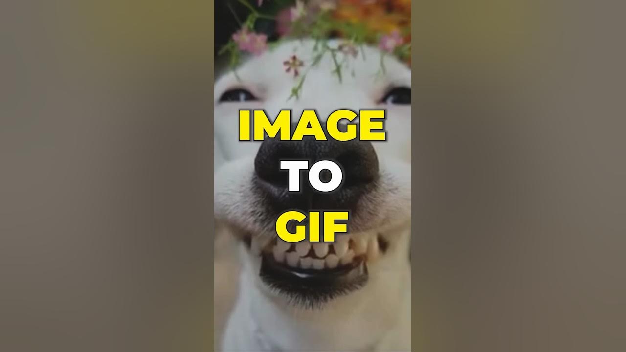 Text GIF Maker - Create Animated Text GIFs In Your Browser - Flixier