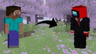 How to have your own cape in MCPE   29 Cape