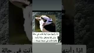 لأصحاب النظر القوي