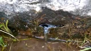 Allahu Tealanın Hikmetleri Kayadan Su Çıkıyor