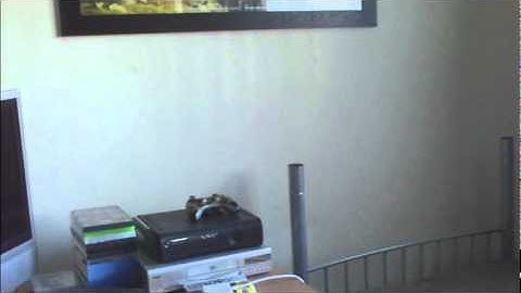 Byte-Me Games - Development Log 2 - Part 1