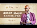 Венера (Щукра) в ведической астрологии Джйотиш. Планетный марафон. Академия Джатака. Дмитрий Бутузов