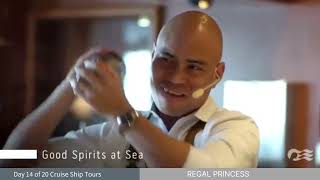 Day 14 Follow Me As I Share 20 Days, 20 Ship Tours