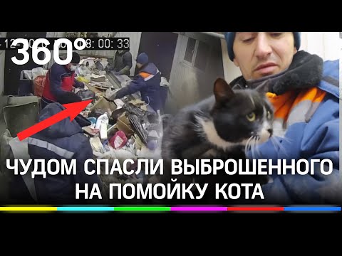 Видео: кота в мешке чудом спасли от пресса на станции сортировки мусора в Ульяновске