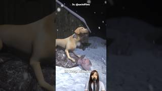 Fainting in the Snow, Helped by a Dog #uniquefacts #interestingfacts
