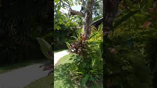 Chilling with friends at Candi Beach Resort and Spa Bali