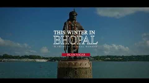 Foundation day celebration MIC Organisation - Bhopal