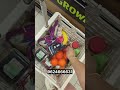 Foldable Shopping Trolley | Portable Grocery Cart 🛒✨