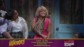Little Shop of Horrors commercial Greater Boston Stage Company